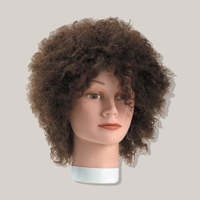 Thumbnail for Dannyco Frizzy Hair Mannequin #CP355C 