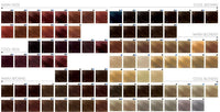 Thumbnail for Goldwell Topchic Permanente Haarfarbe - 1